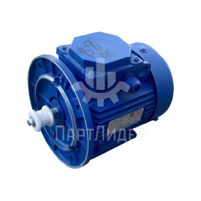 Электродвигатель АИР-71В8 У2 0.25кВт 750об/мин IM2081 (лапы и фланец) МЛЗ