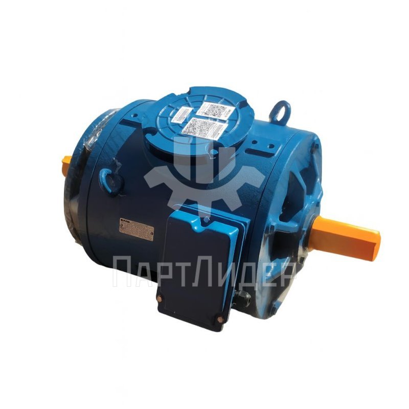 Электродвигатель АН200В6 (6.5-1.6кВт) 955-220об-мин FF300 IM3002 (Ярославский)