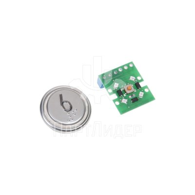 Модуль кнопочный код брайля 6 ВКЛ13А-7-4И