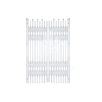 Дверь БОСТВИГ 1900x2200