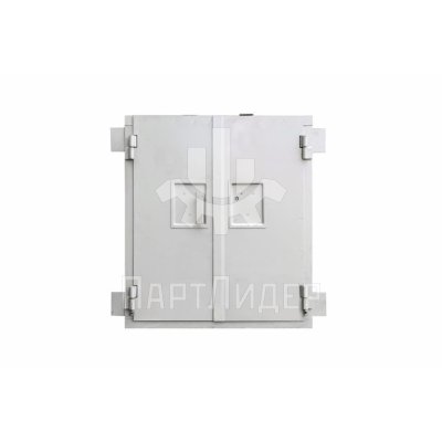 Дверь шахты малого грузового лифта ПГ-239 900х880мм МЛЗ