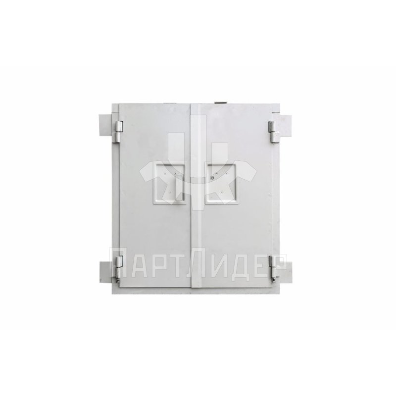 Дверь шахты малого грузового лифта ПГ-239 900х880мм МЛЗ