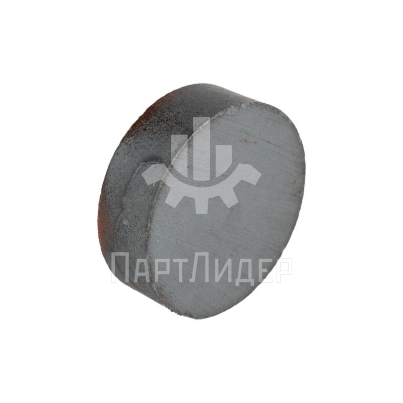 Магнит круглый 22x7 мм