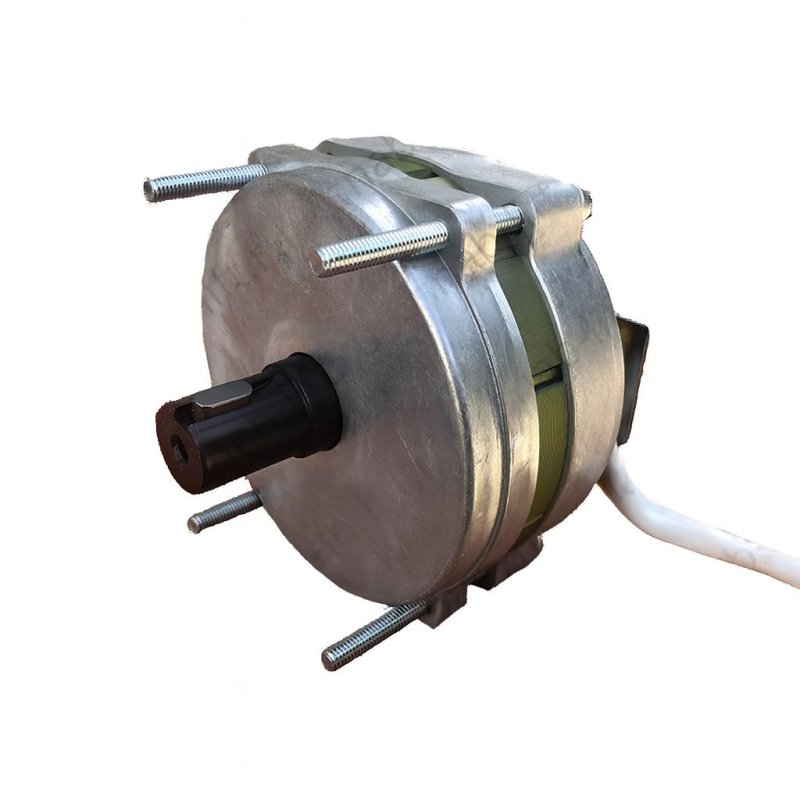 Электродвигатель привода ДСМ-0.18-500-1-Д-У